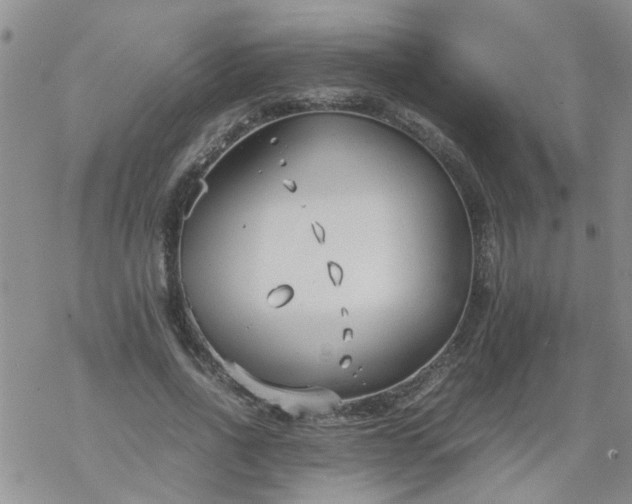 X0000069390734200605192213