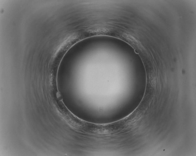 X0000069390735200605192213