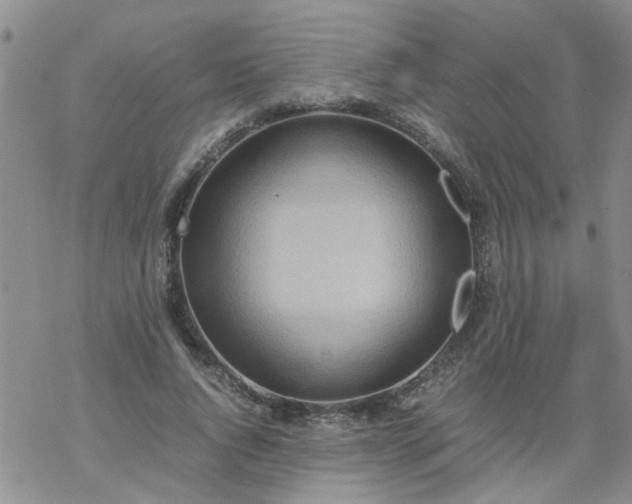 X0000069390736200605192213