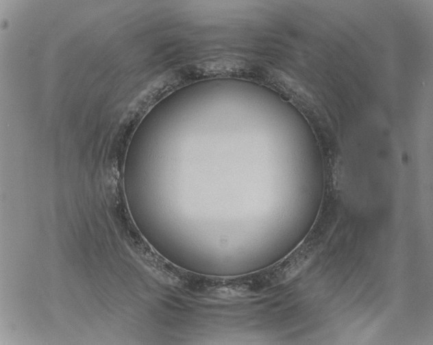 X0000069390737200605192213