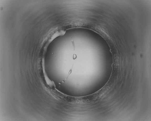 X0000069390738200605192213