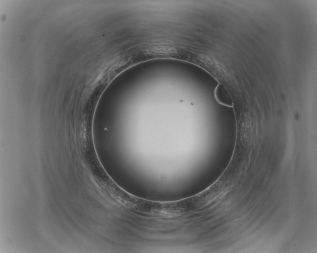 X0000069390739200605192213