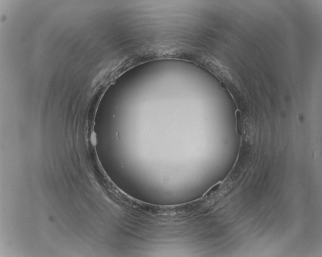 X0000069390740200605192213