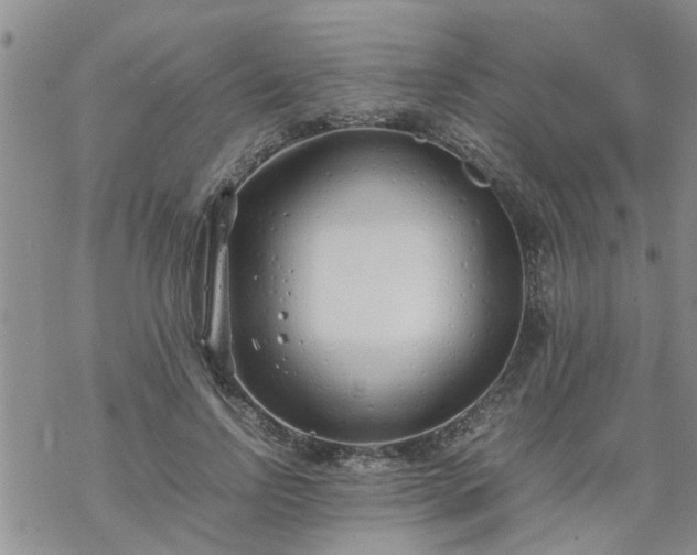 X0000069390742200605192213