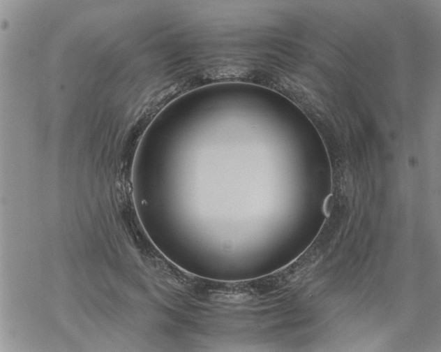 X0000069390743200605192213