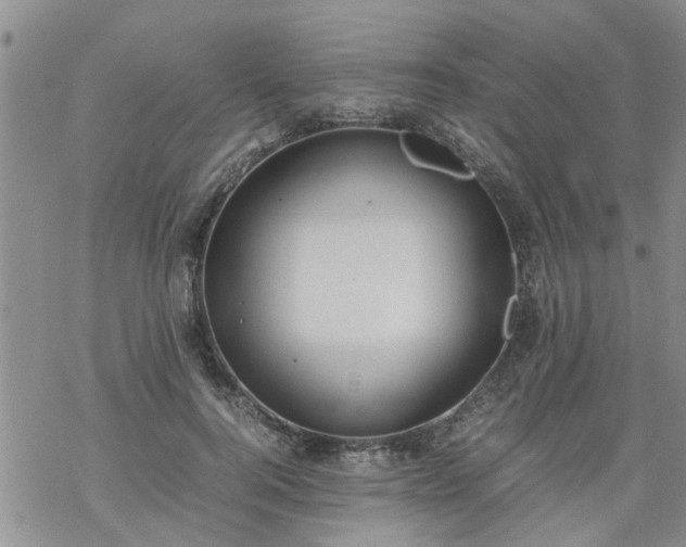 X0000069390744200605192213