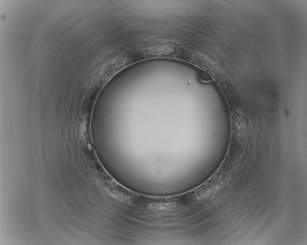 X0000069390745200605192213