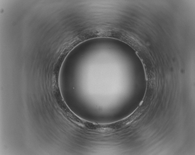 X0000069390748200605192213