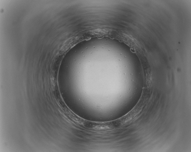 X0000069390749200605192213