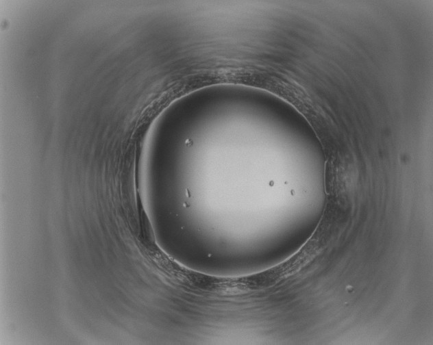 X0000069390750200605192213