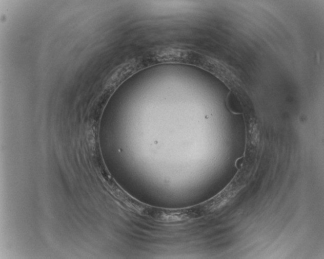 X0000069390753200605192213