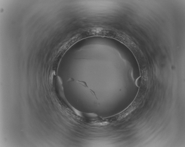 X0000069390754200605192213