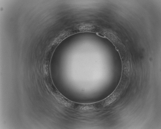 X0000069390755200605192213