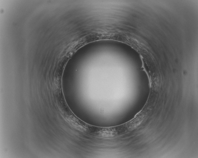 X0000069390756200605192213