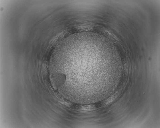 X0000069390757200605192213