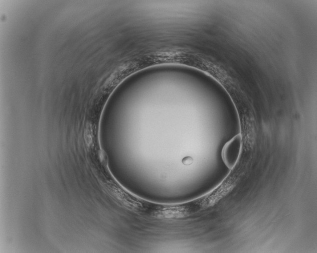 X0000069390758200605192213