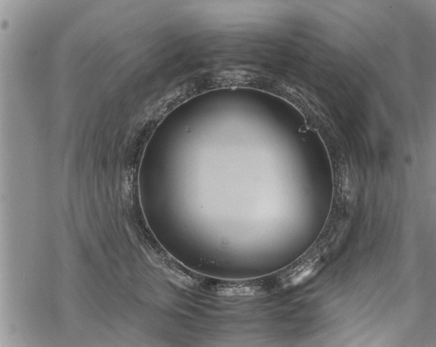 X0000069390759200605192213