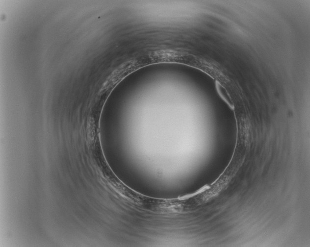 X0000069390760200605192214