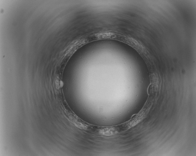 X0000069390761200605192214