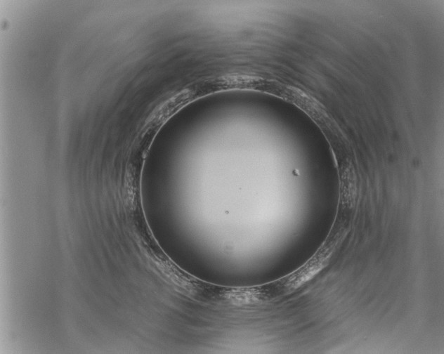 X0000069390762200605192214