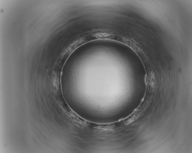 X0000069390763200605192214