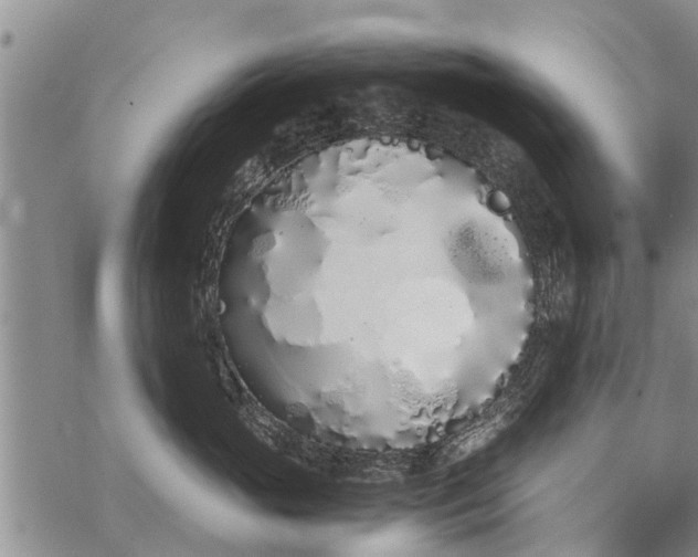 X0000069390765200605192214