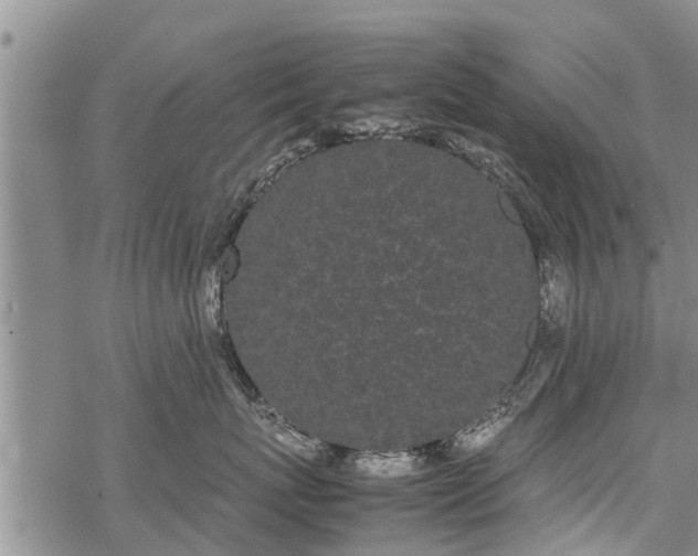 X0000069390767200605192214