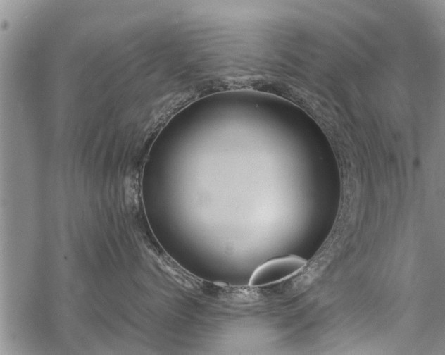 X0000069390768200605192214