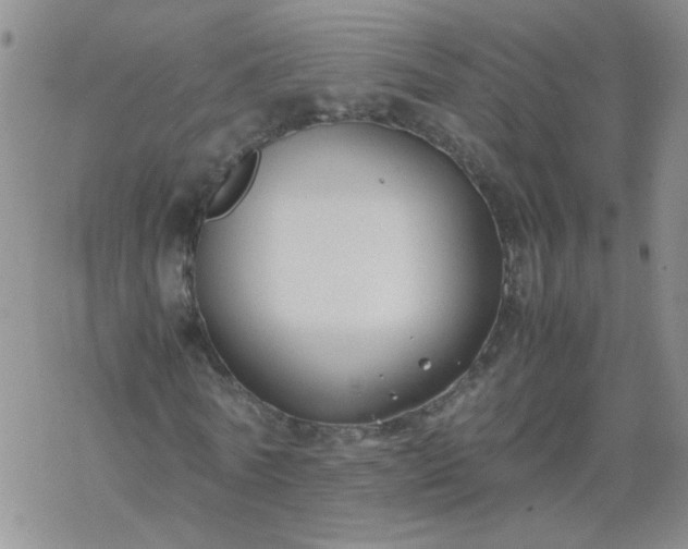 X0000069390770200605192213