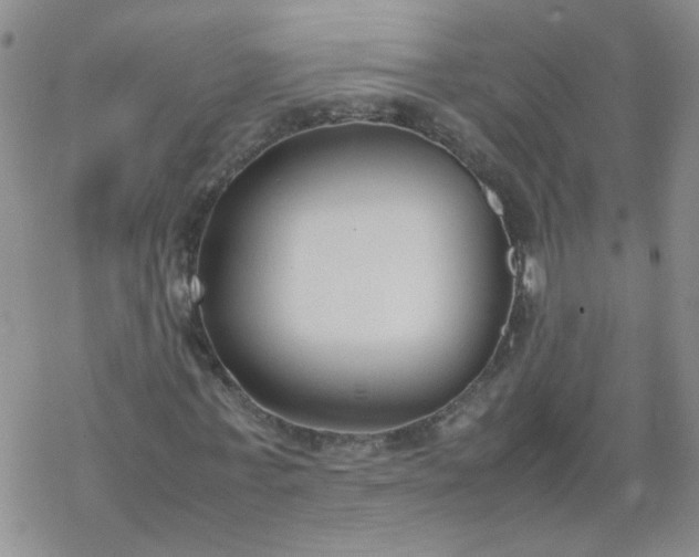 X0000069390771200605192213