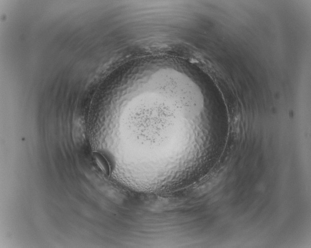 X0000069390772200605192213