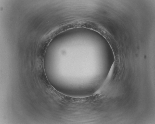 X0000069390773200605192213