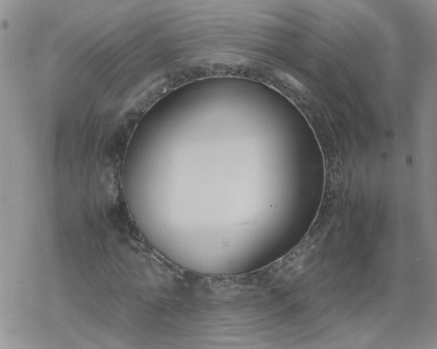 X0000069390774200605192213