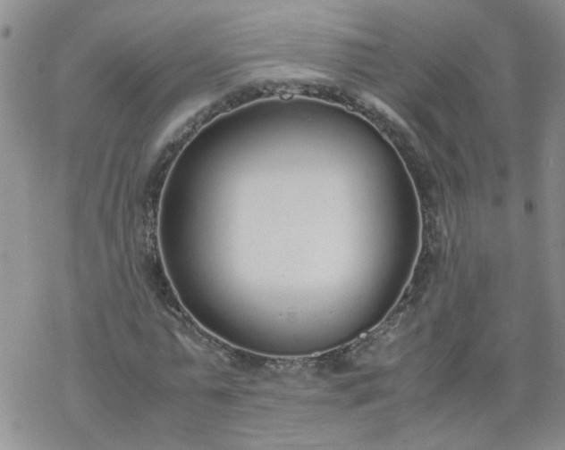 X0000069390775200605192213