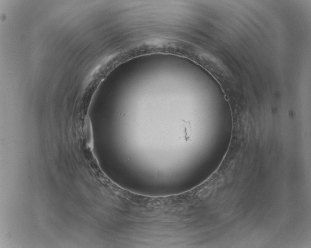 X0000069390776200605192213