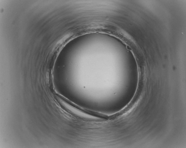 X0000069390777200605192213