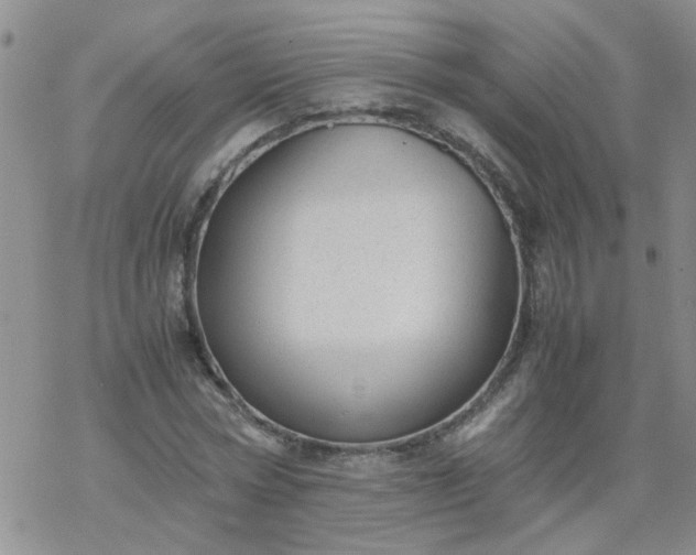 X0000069390778200605192213