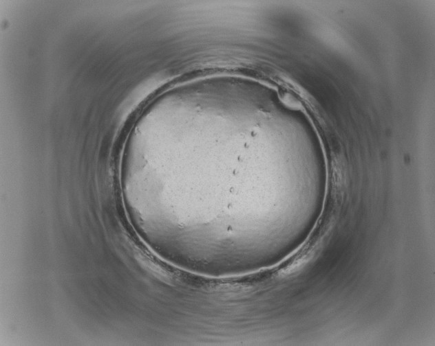 X0000069390779200605192213