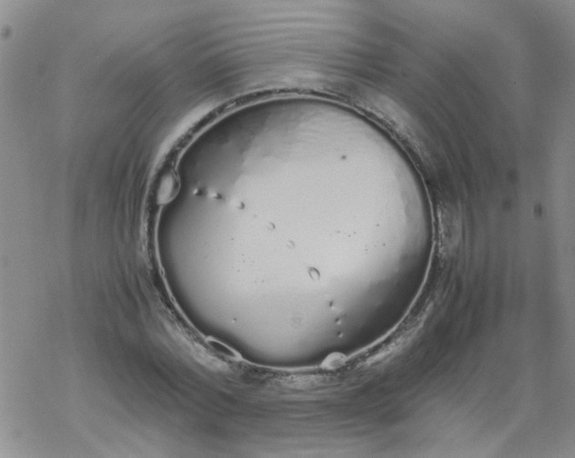 X0000069390780200605192213