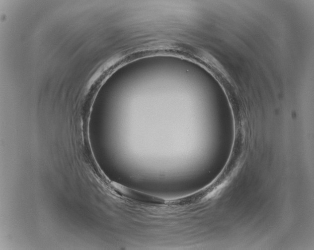 X0000069390781200605192213