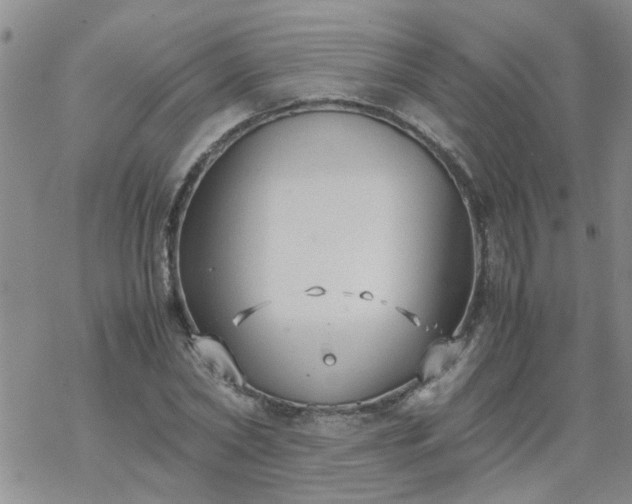 X0000069390782200605192213