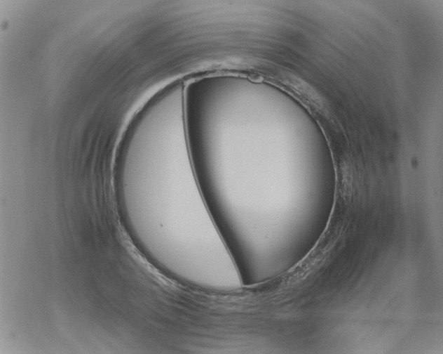 X0000069390784200605192213