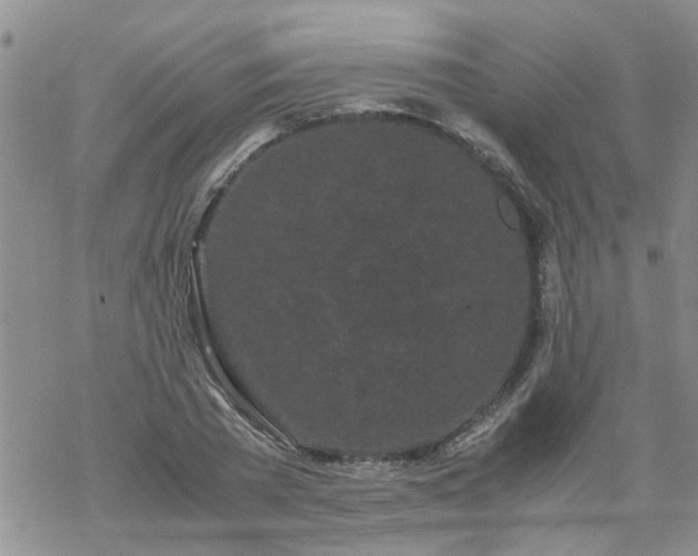 X0000069390785200605192213