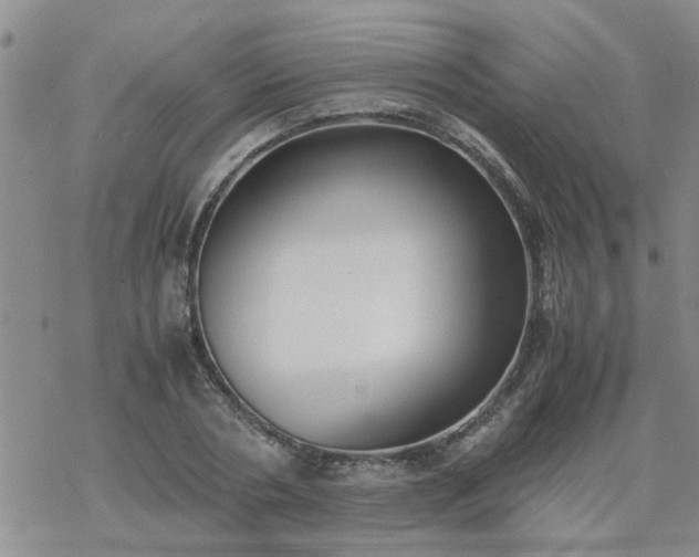 X0000069390786200605192213