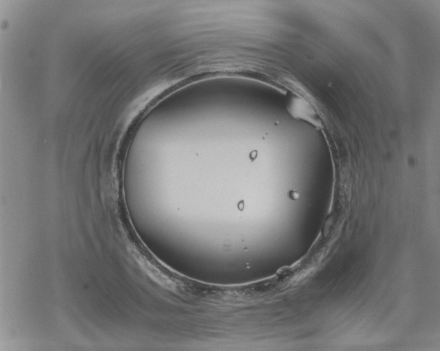 X0000069390787200605192213