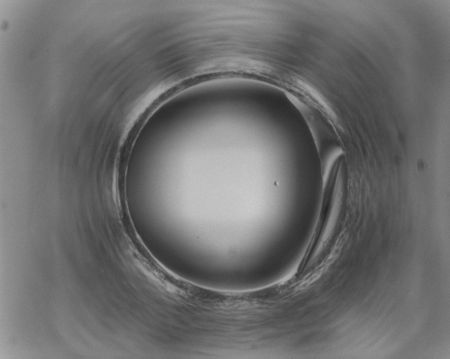 X0000069390788200605192213