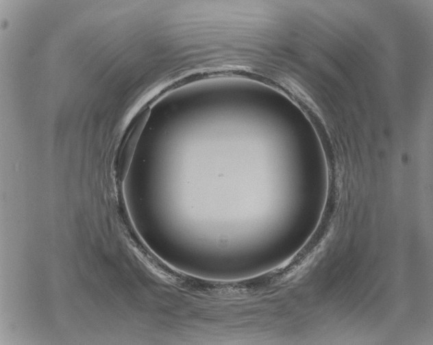 X0000069390789200605192213