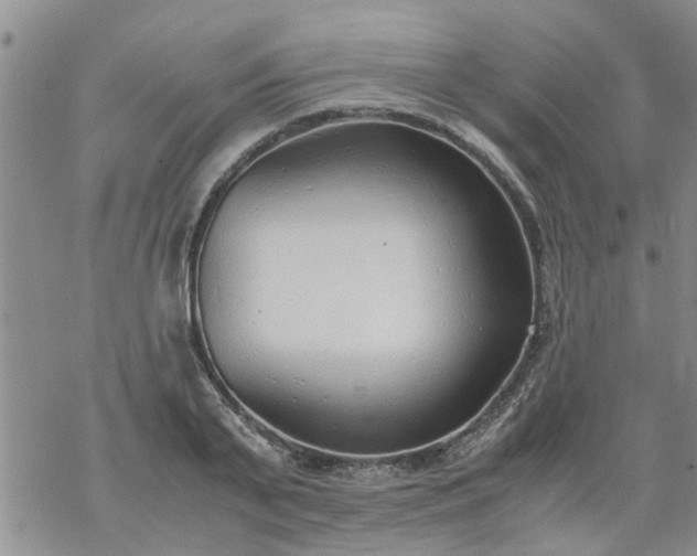 X0000069390791200605192213