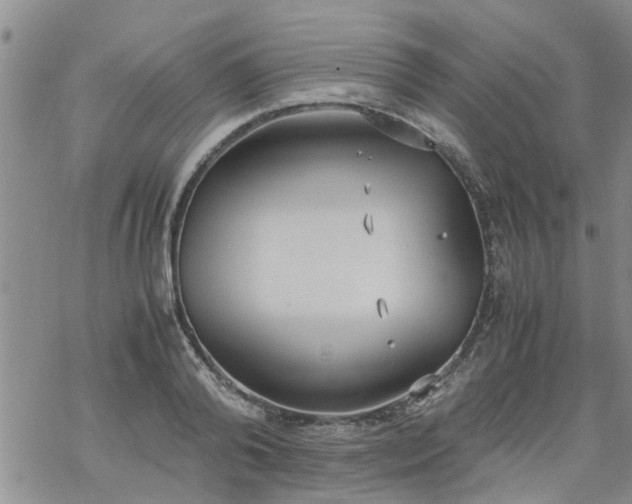 X0000069390792200605192212