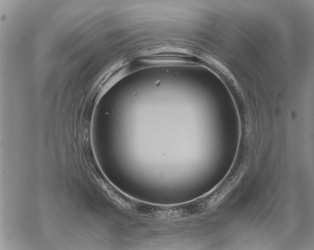 X0000069390793200605192212